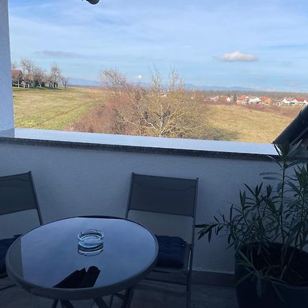 Vila Milka - Balkon - Besplatan Parking - Samostalna Prijava Karlovac Eksteriør billede